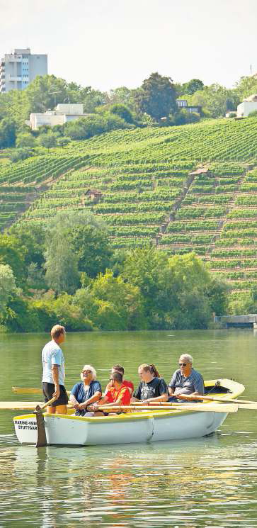 Ein Ruderboot mit einem Steuermann und vier Ruderern auf dem See vor einem Weinberg.